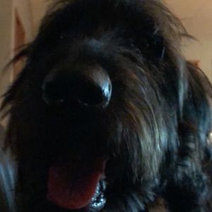 Meet your Posher, Mick